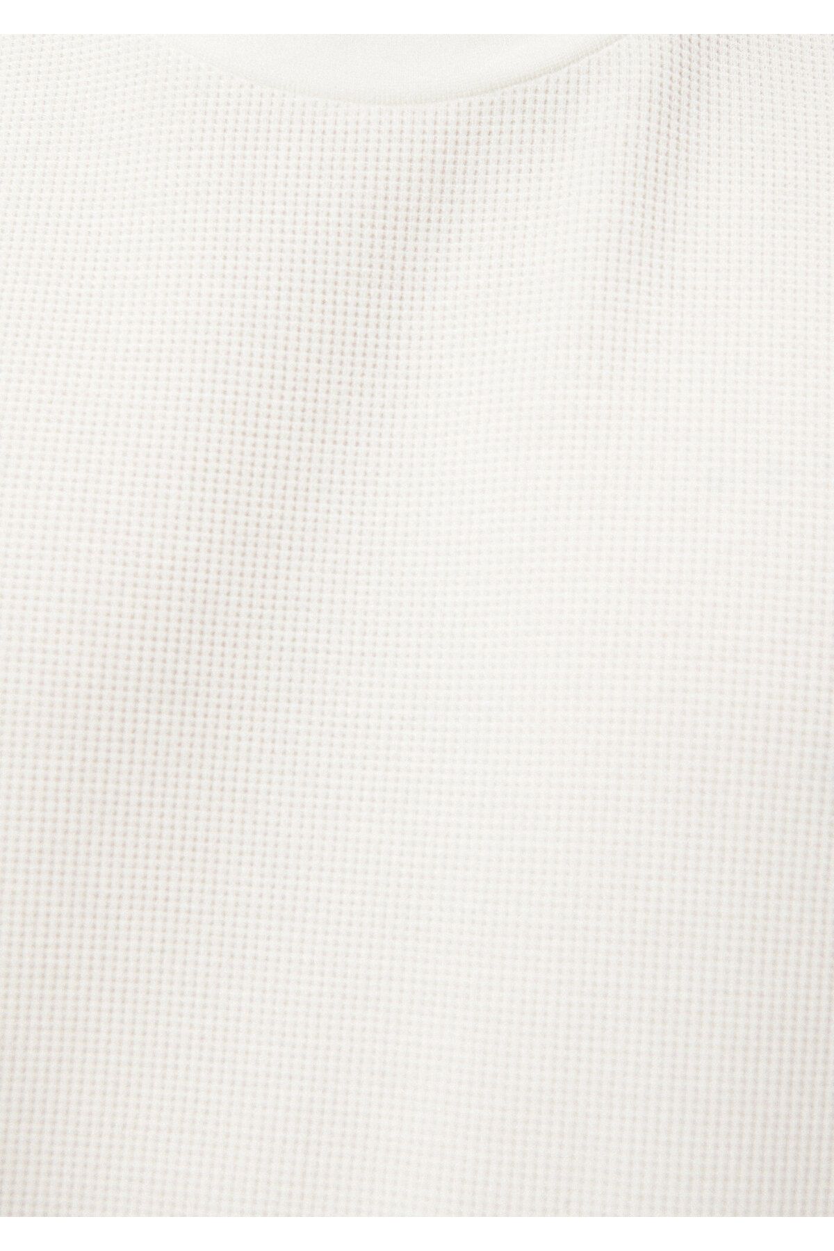 Mavi تی شرت سفید یقه دوچرخه به طور منظم مناسب / برش طبیعی 0610277-70054