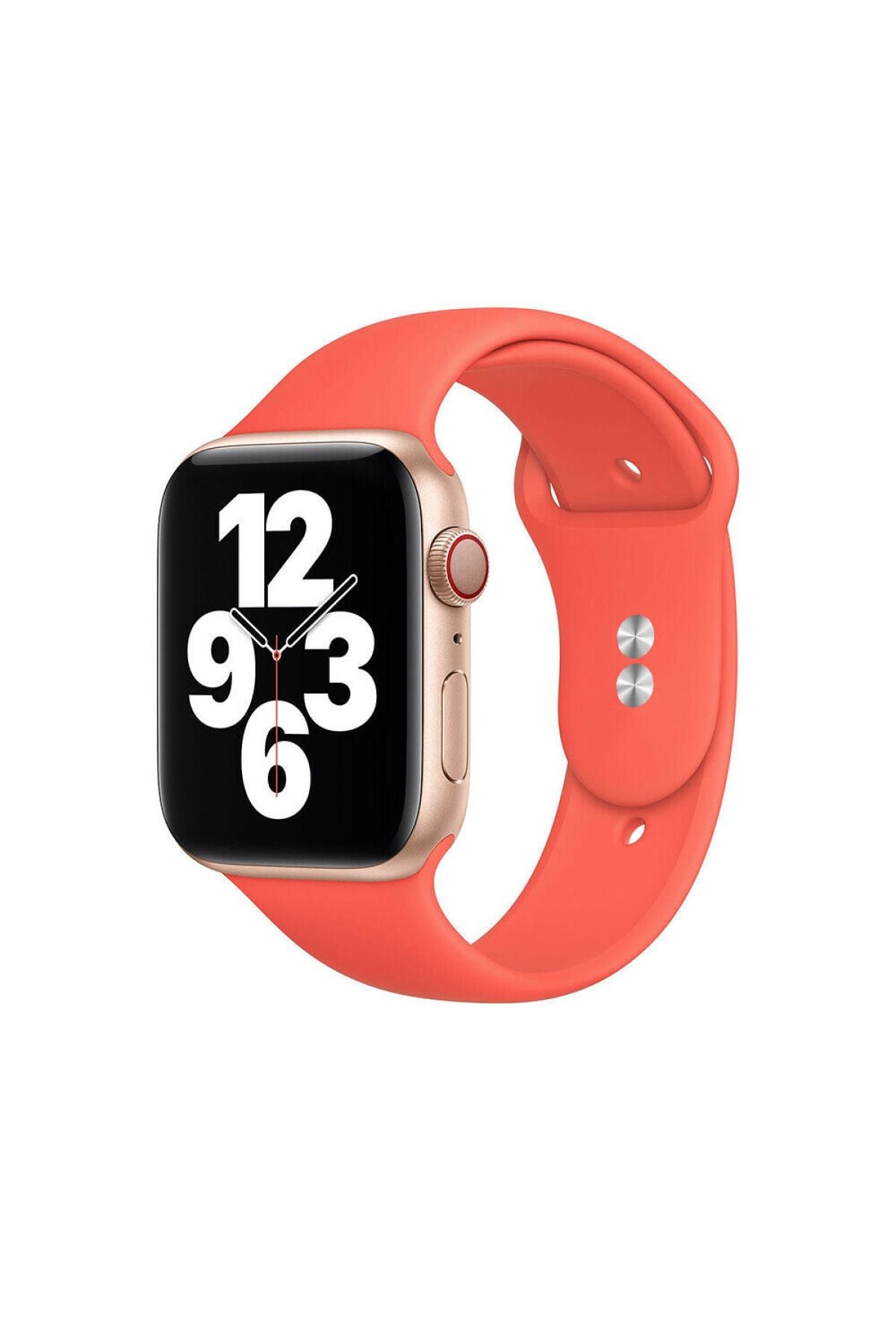 Apple watch series top 4 women's size