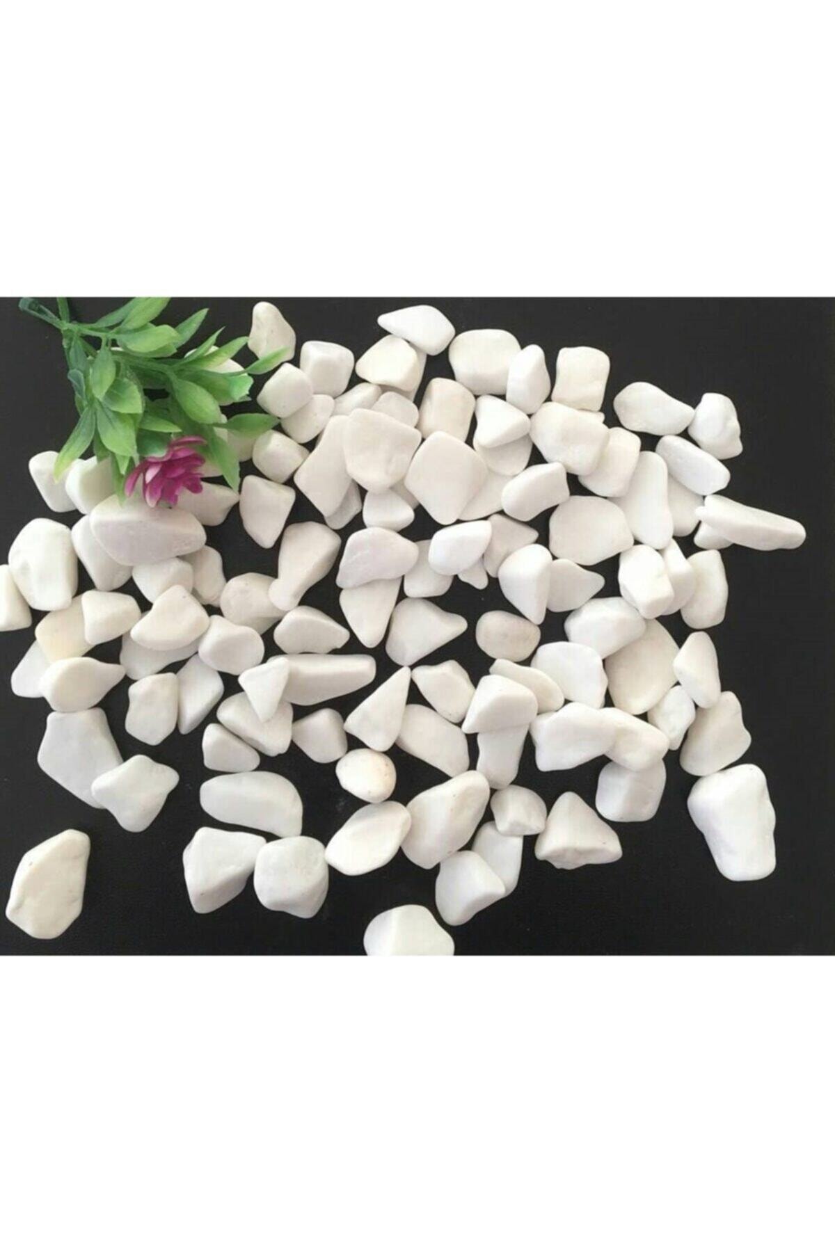 Dolomit Taş 25 kg 1-2 cm Bahçe Süs Taşı Dolamit Taş Dekoratif Taş 3