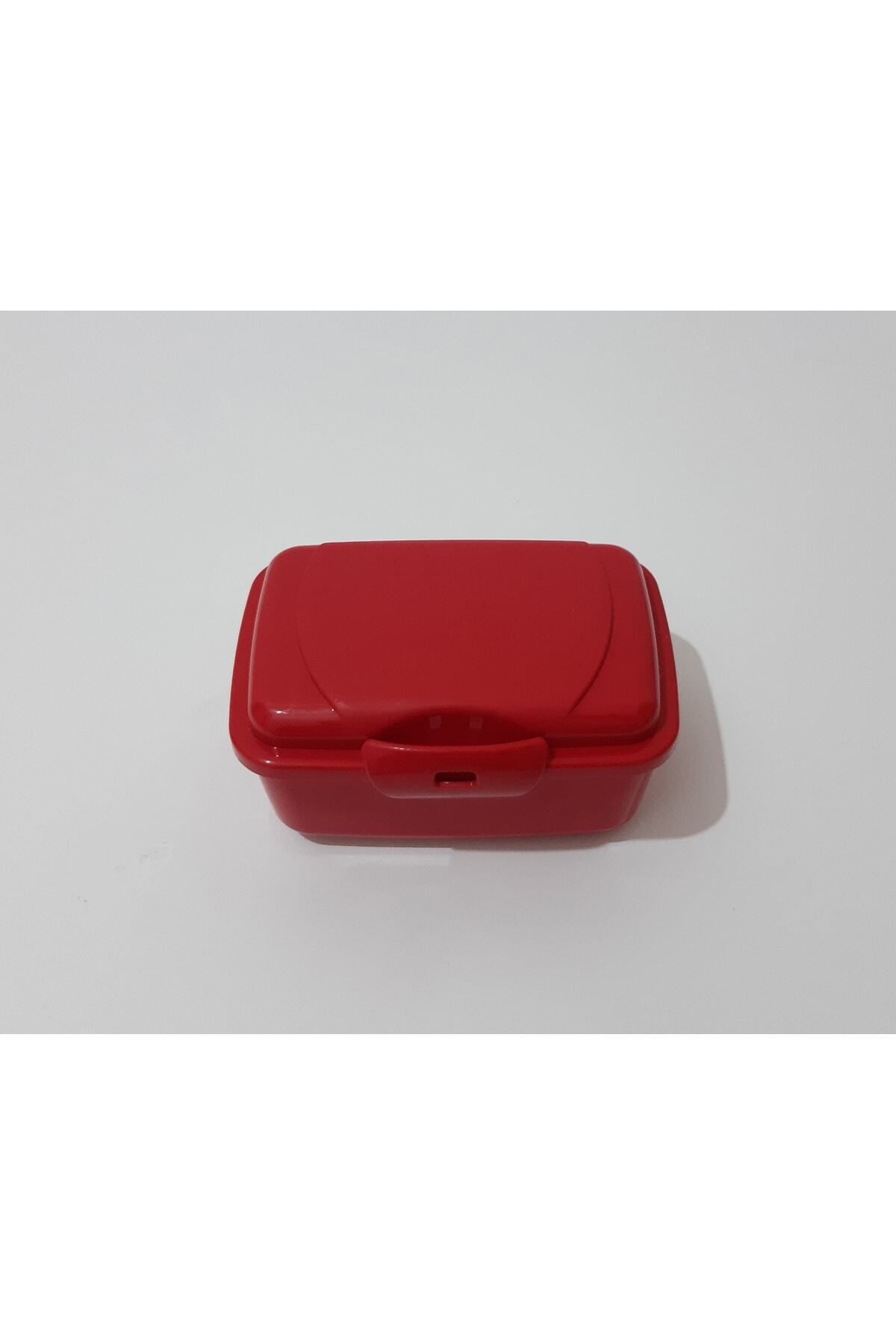 renkli çiçekler-Mini Lunch Box Lunch Box 350ml 4
