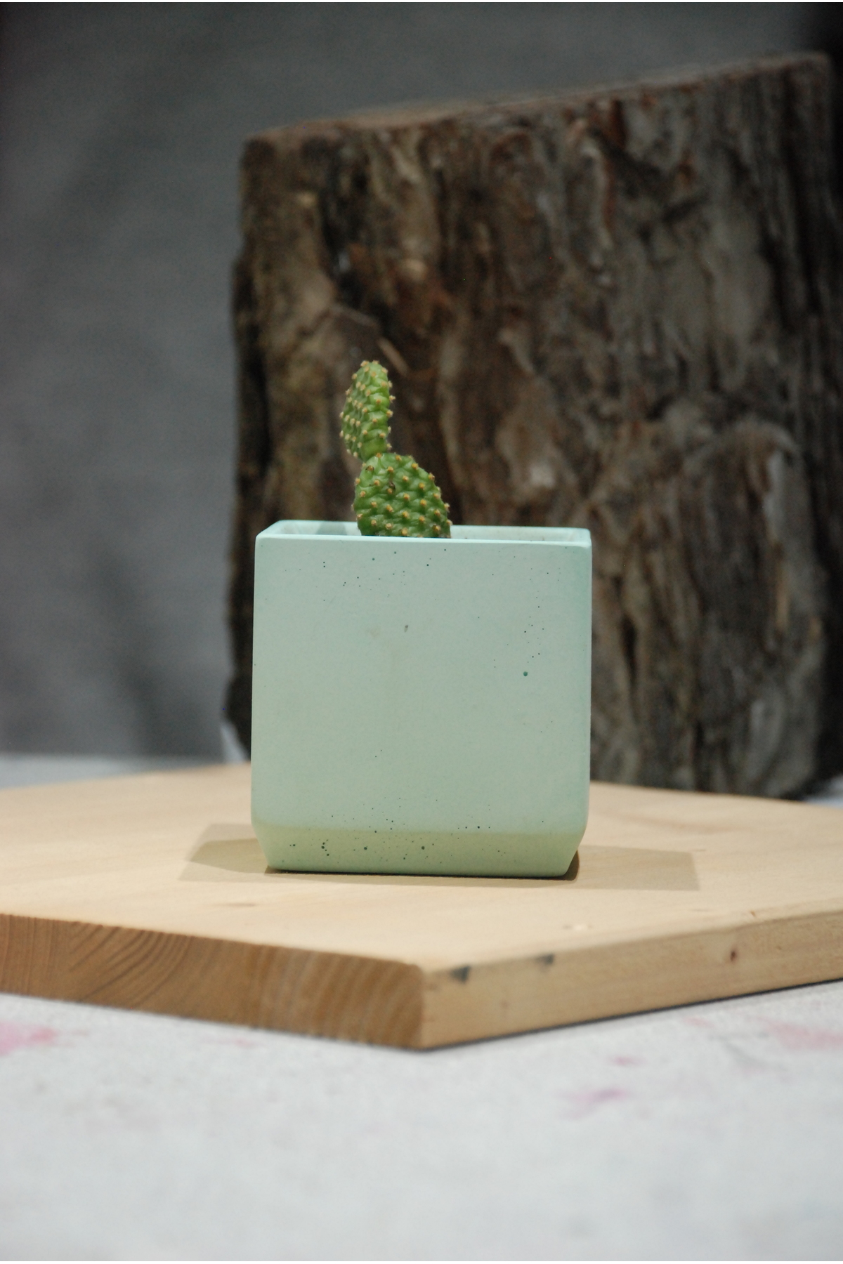 Quasi Green Concrete Flower Pot