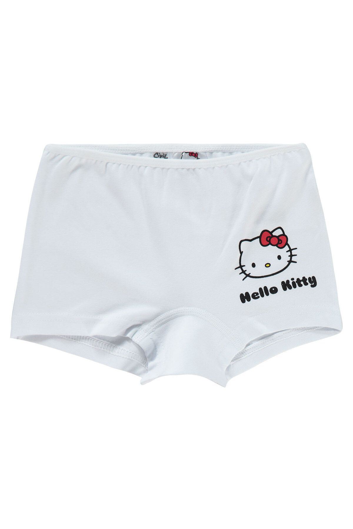 Hello Kitty Kız Çocuk 2'li Külot Set 2-10 Yaş Pembe Fiyatı 2021726