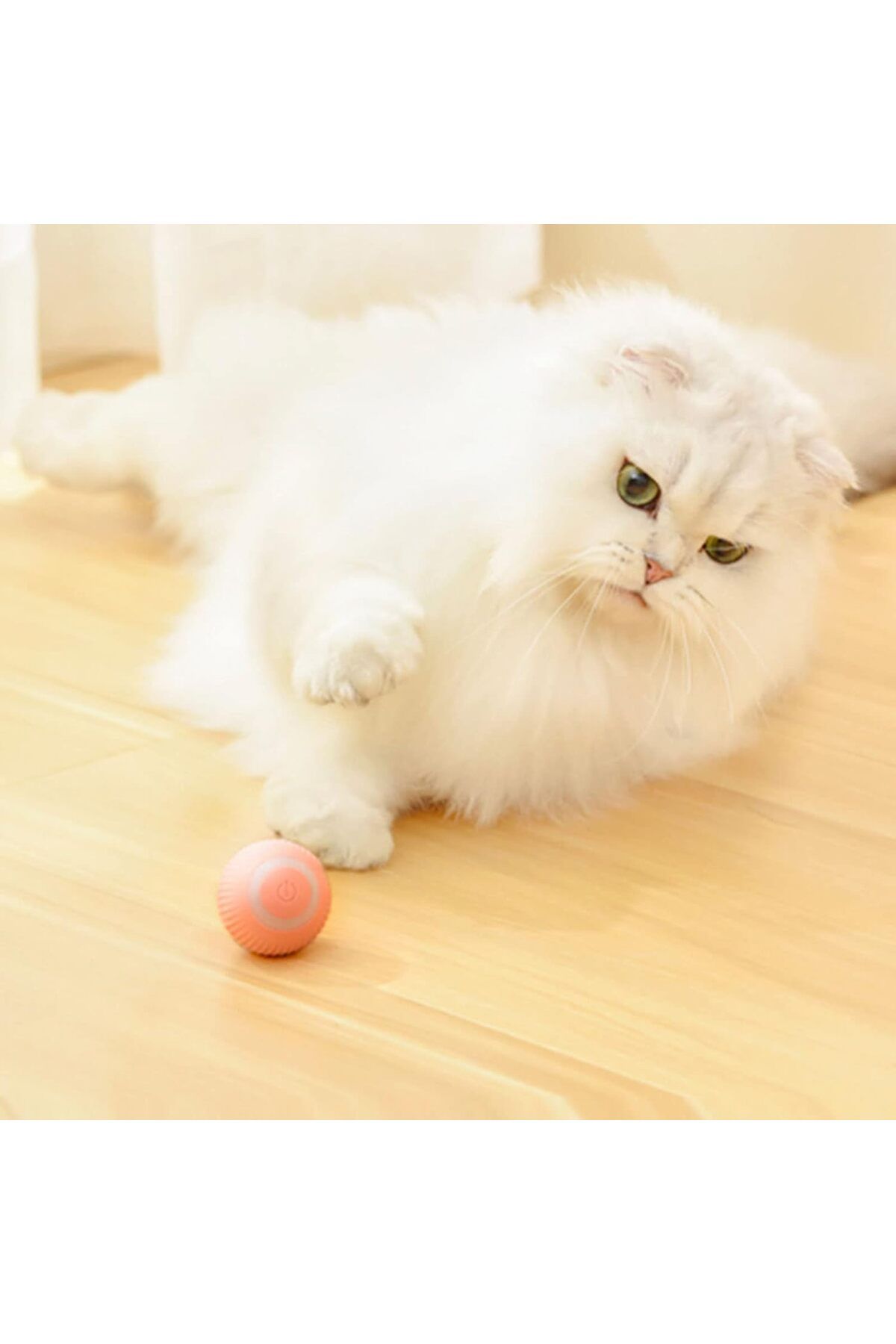 sebura-Animated Cat Ball Smart Rolling Pet Ball Automatic Cat Toy 5
