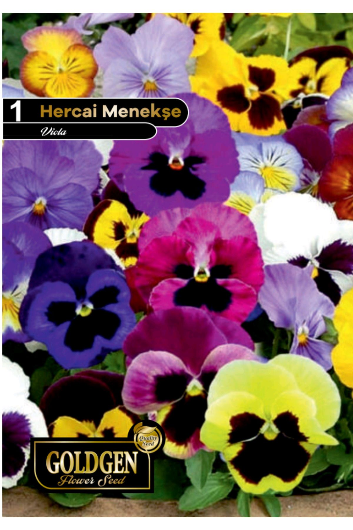 Hercai Menekşe Tohumu (Karışık)