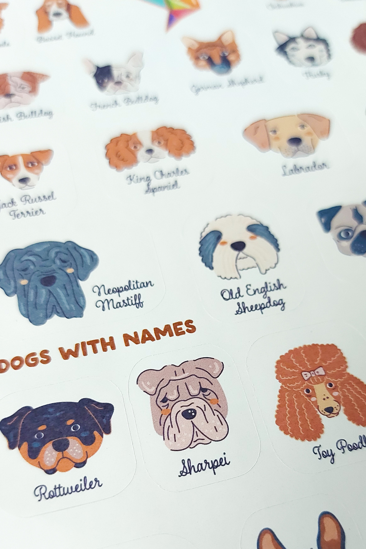 Dog Name Sticker Design Pigeons Paper Köpekli Sticker Seti - Dogs with Names Sticker Sheet ...