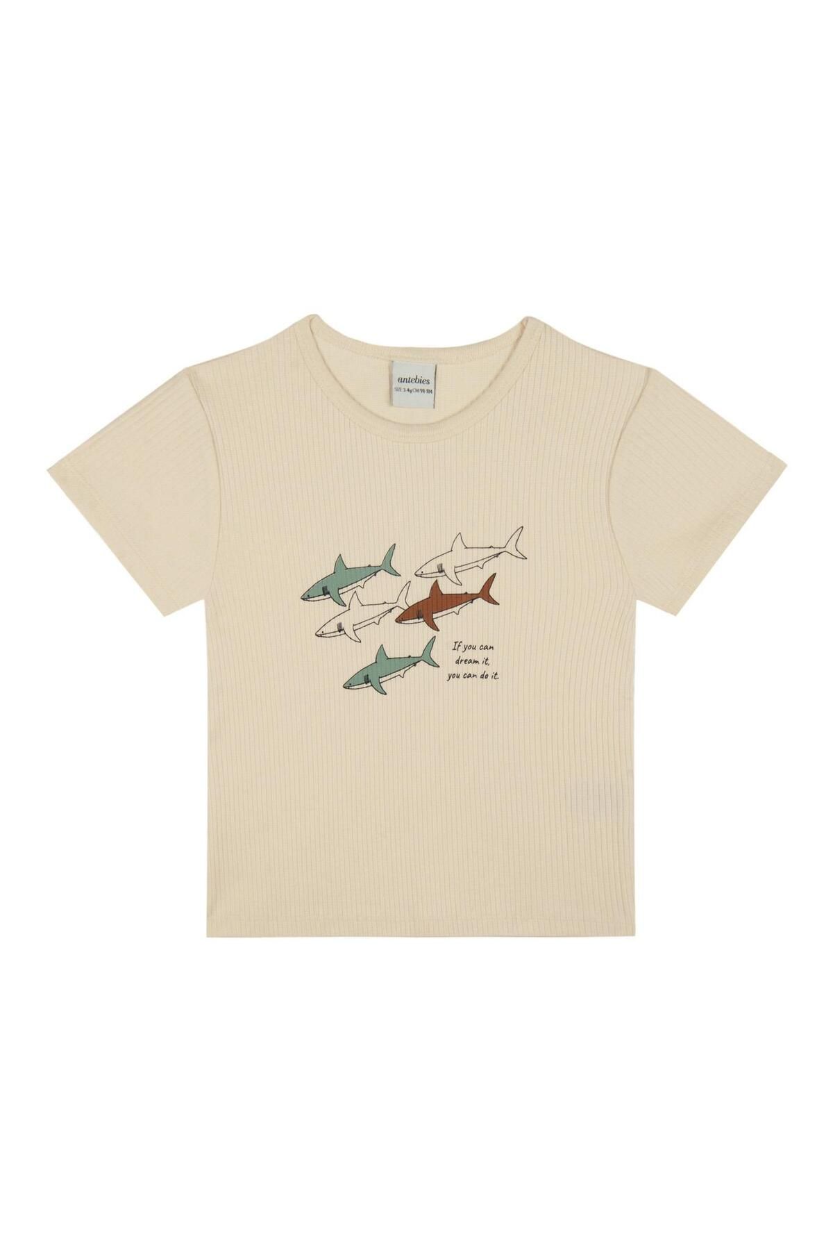 Antebies-Shark Pajama Set with Shorts 2