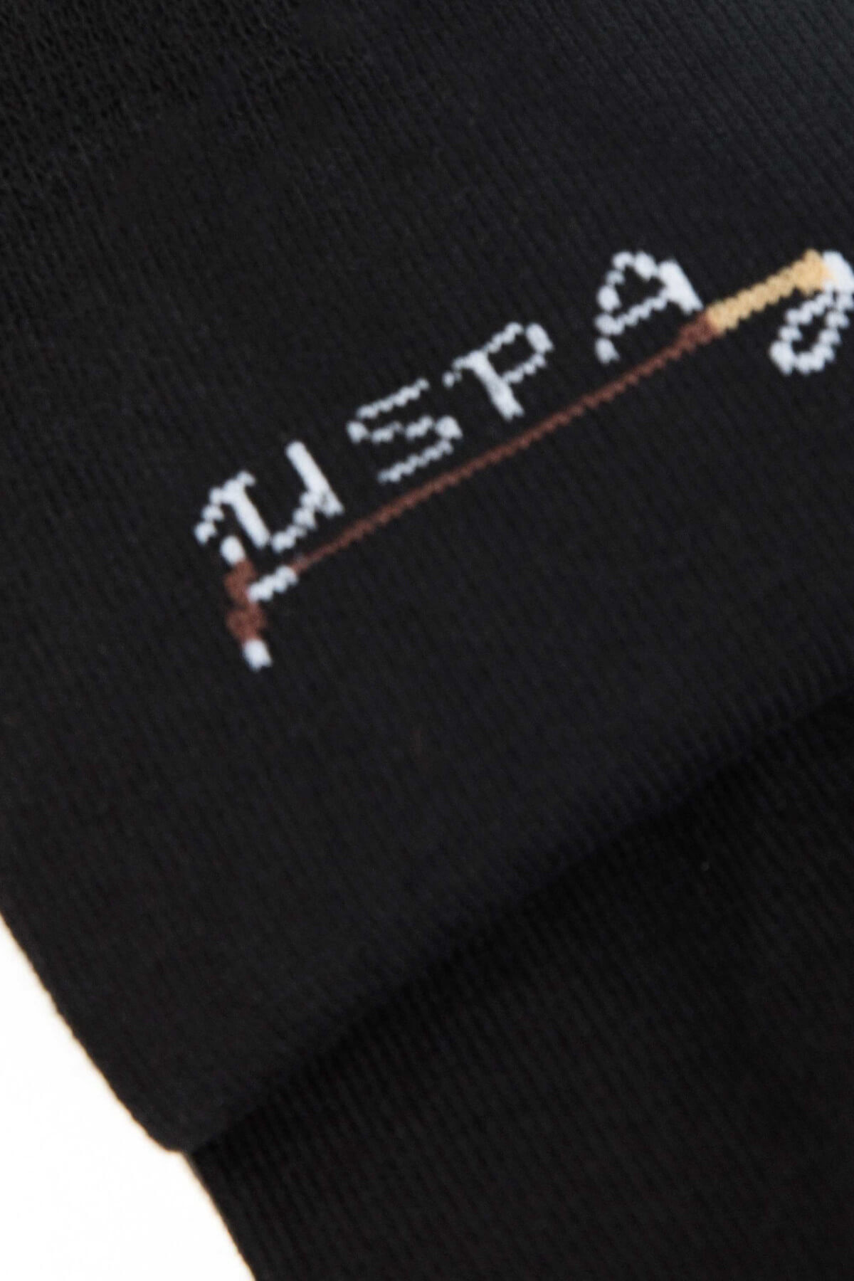جوراب مردانه راسته | یو اس پولو U.S. Polo Assn. A081SZ013.P01.GALISK8 - تصویر 2