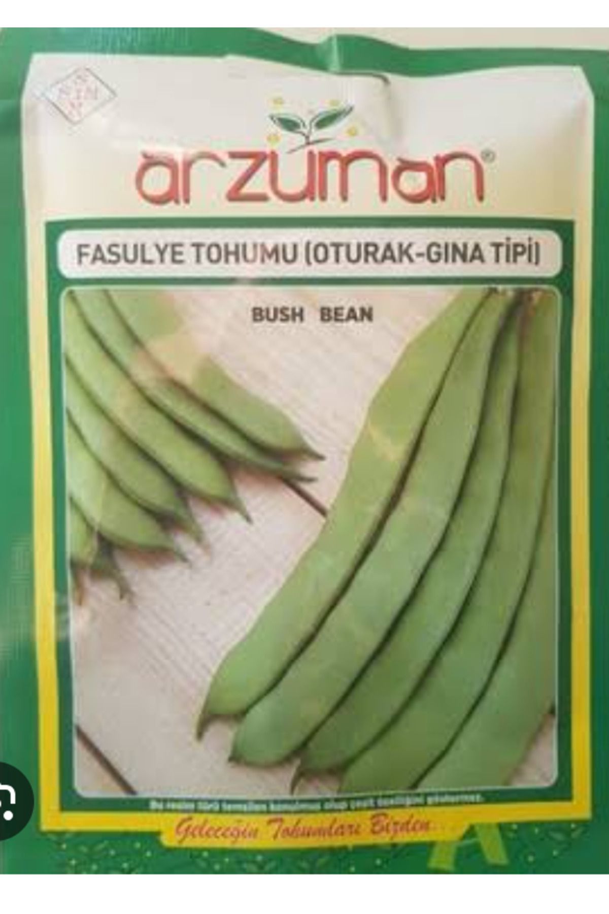 Fasulye Tohumu Oturak Gına Tipi