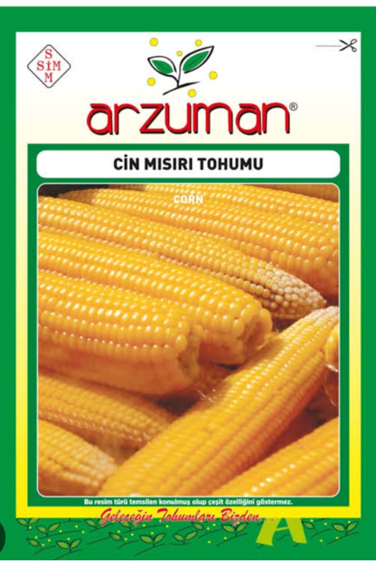 Cin Mısırı Tohumu