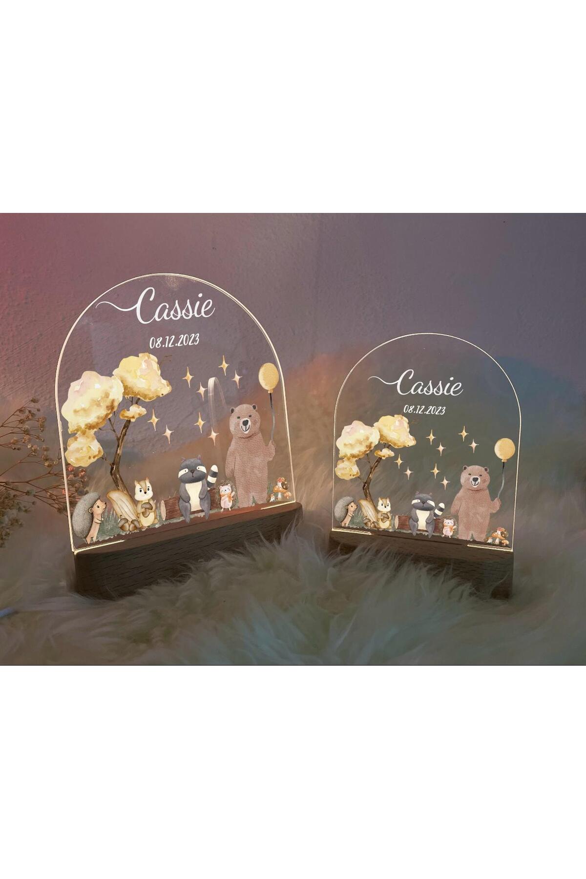 ENCİVA BEBEK ÇOCUK İSME ÖZEL GECE LAMBASI BEBEK ODASI DEKOR HEDİYELİK ÇOCUK ODASI MODEL3 fotoğrafı 3 (önizleme)