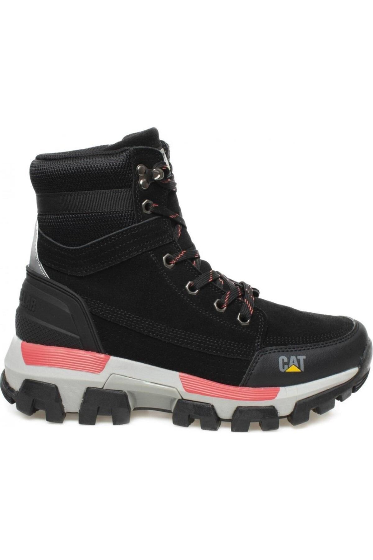 Botin top ottawa cat
