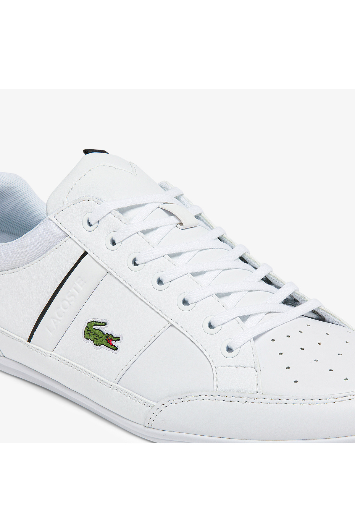 lacoste chaymon 0320 3