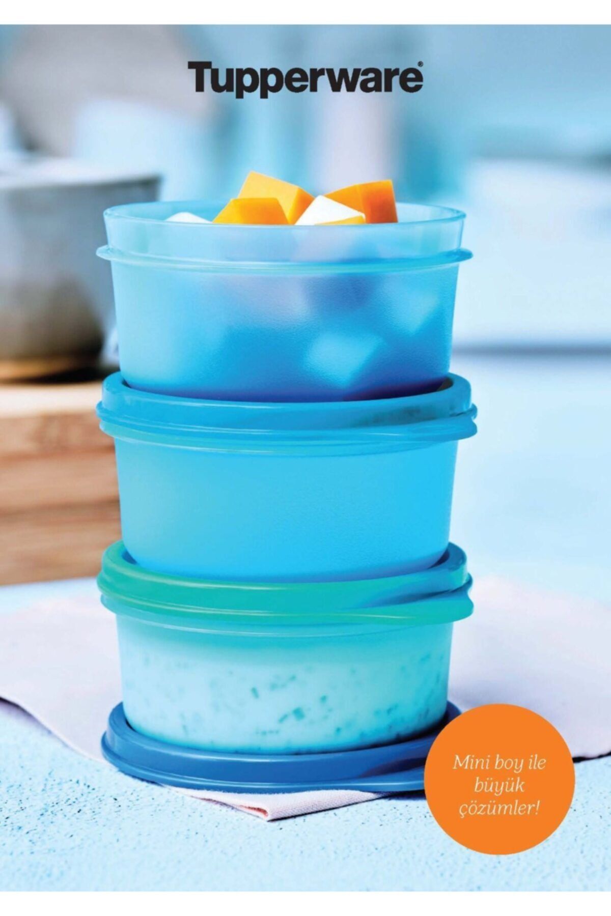 Tupperware-Mini Refrigerator Storage Container 250ml Set of 3 1