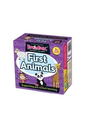 Brainbox İlk Hayvanlarım İngilizce Eğitici Oyun Kartları MP23916