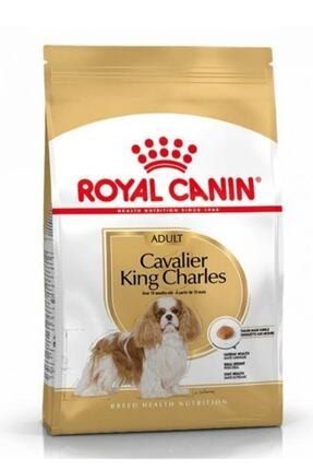 Cavalier King Charles Adult 1,5 kg ROYALKİNGCHARS15