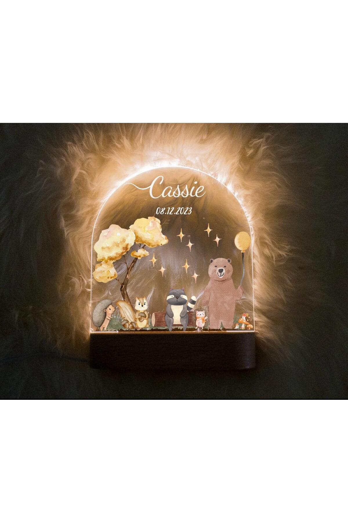 ENCİVA BEBEK ÇOCUK İSME ÖZEL GECE LAMBASI BEBEK ODASI DEKOR HEDİYELİK ÇOCUK ODASI MODEL3 fotoğrafı 2 (önizleme)