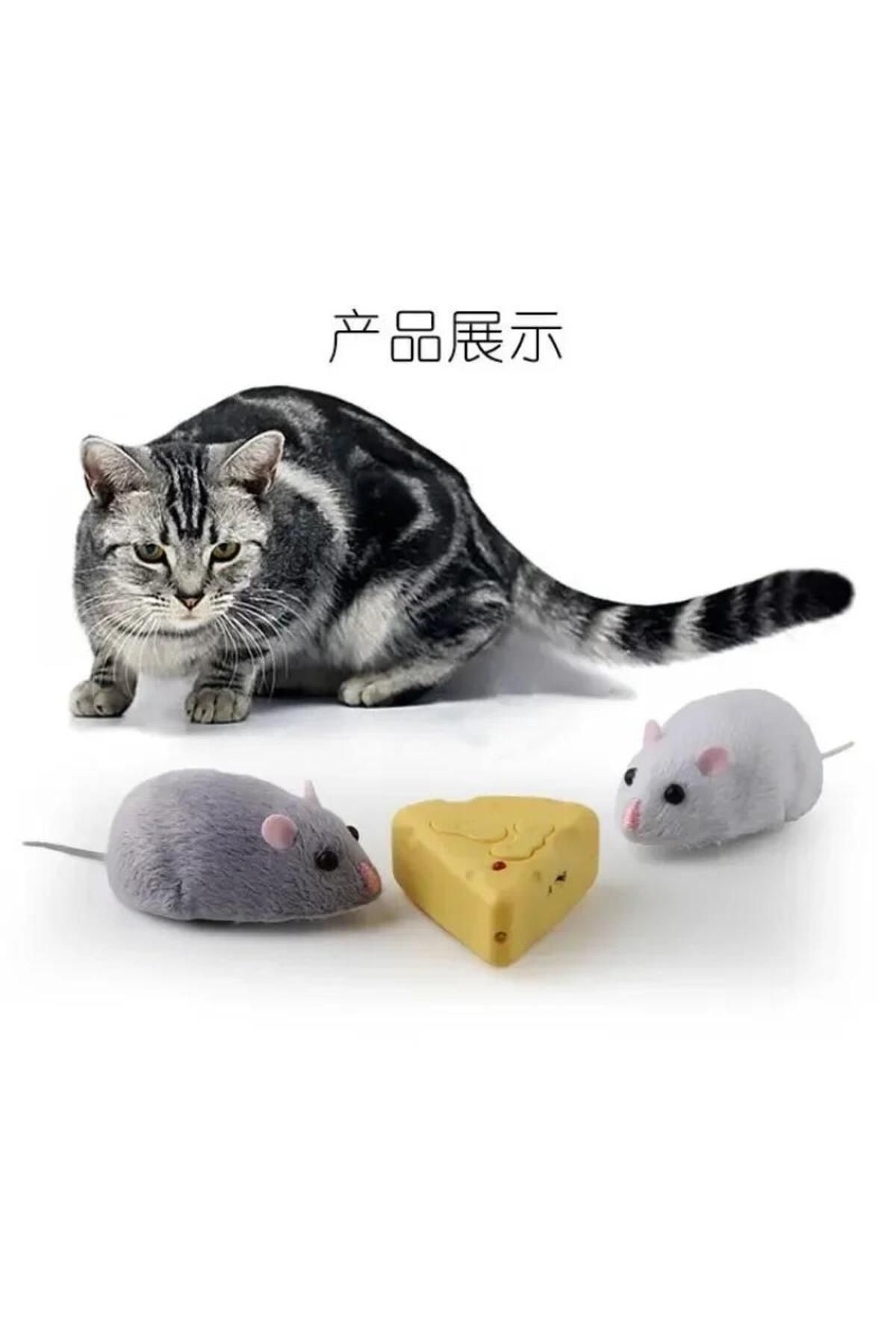 Zigver-Electric RC mice cat toys remote control infrared moving mouse model false refresh 2