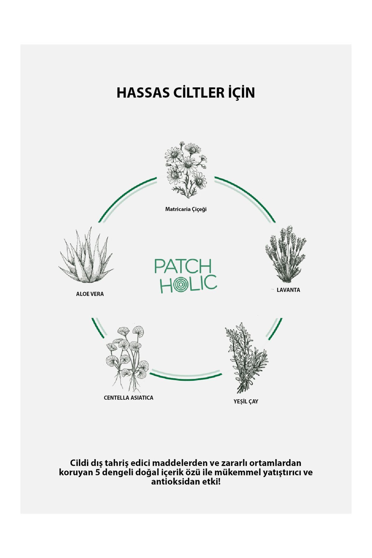 PATCH HOLIC-Moisturizing Soothing Mask Sticker Soothing Patch Play 7