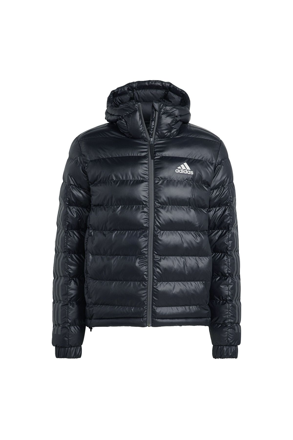 adidas 3 Stripes SDP Badge of Sport Jacket