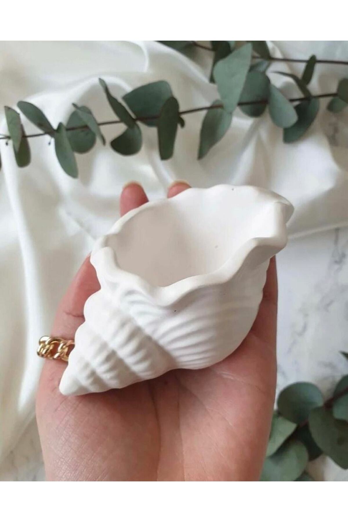Decorative Seashell Jewelry Plate