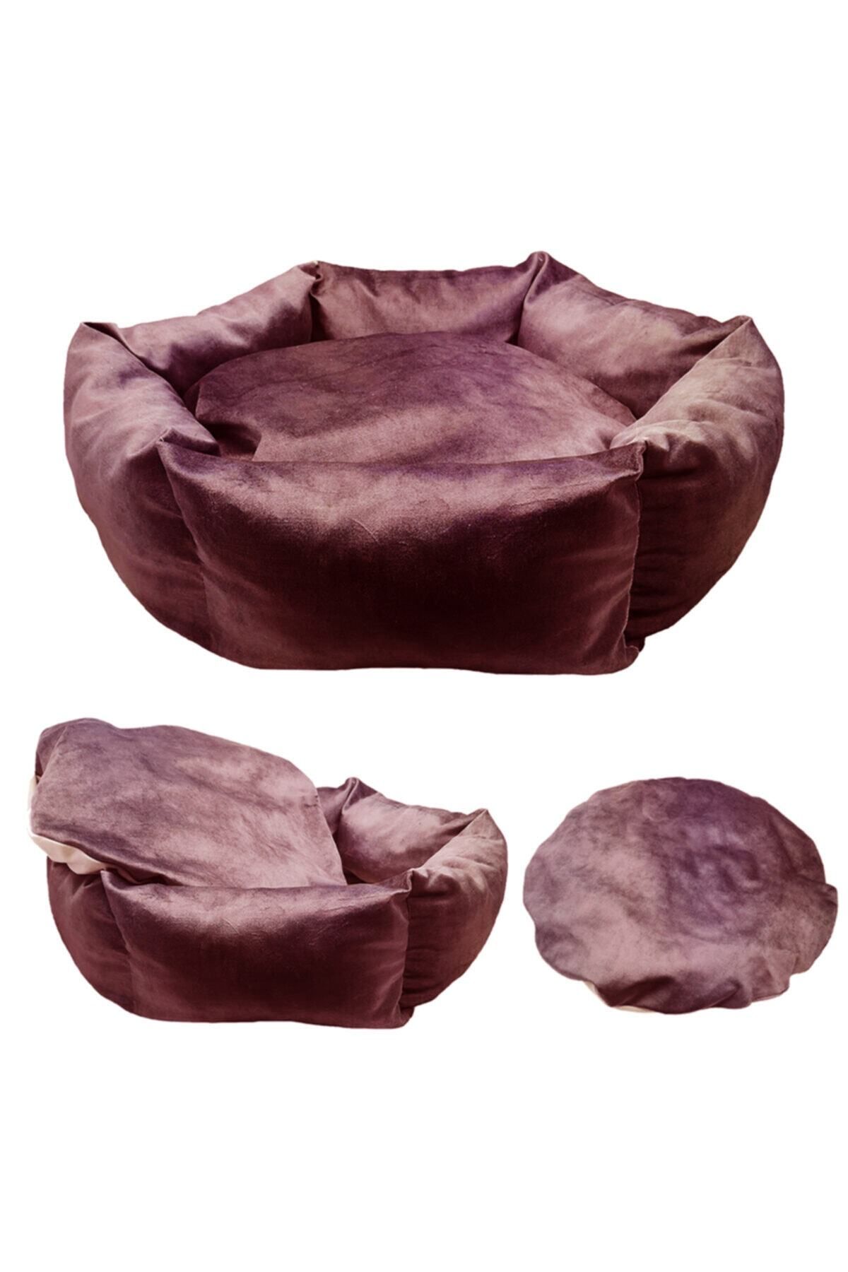 Sdypet-Plus Hexagonal Cat Bed & Small Breed Dog Bed - Mixed Color 5