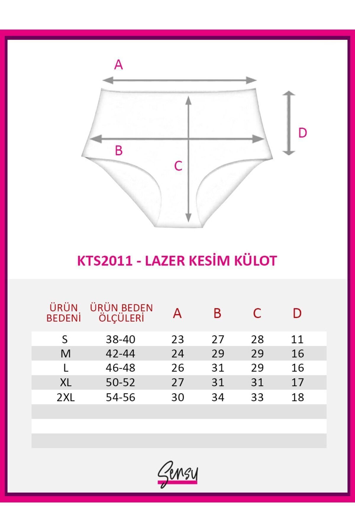 Sensu Women's High Waist Seamless Laser Cut Panties (ELASTY WAIST) Set of 3  - Trendyol