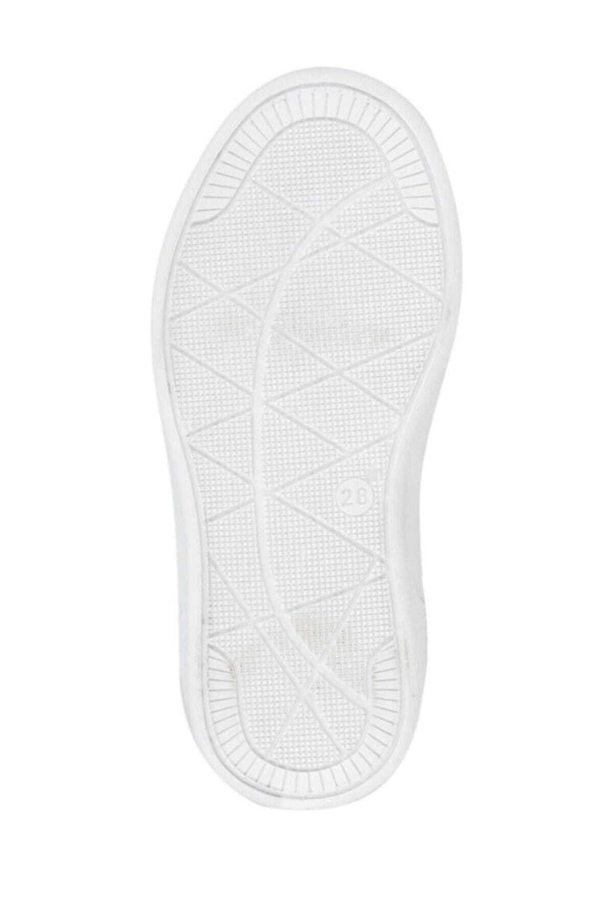 Kinetix-Lenko Hi C 9pr 3