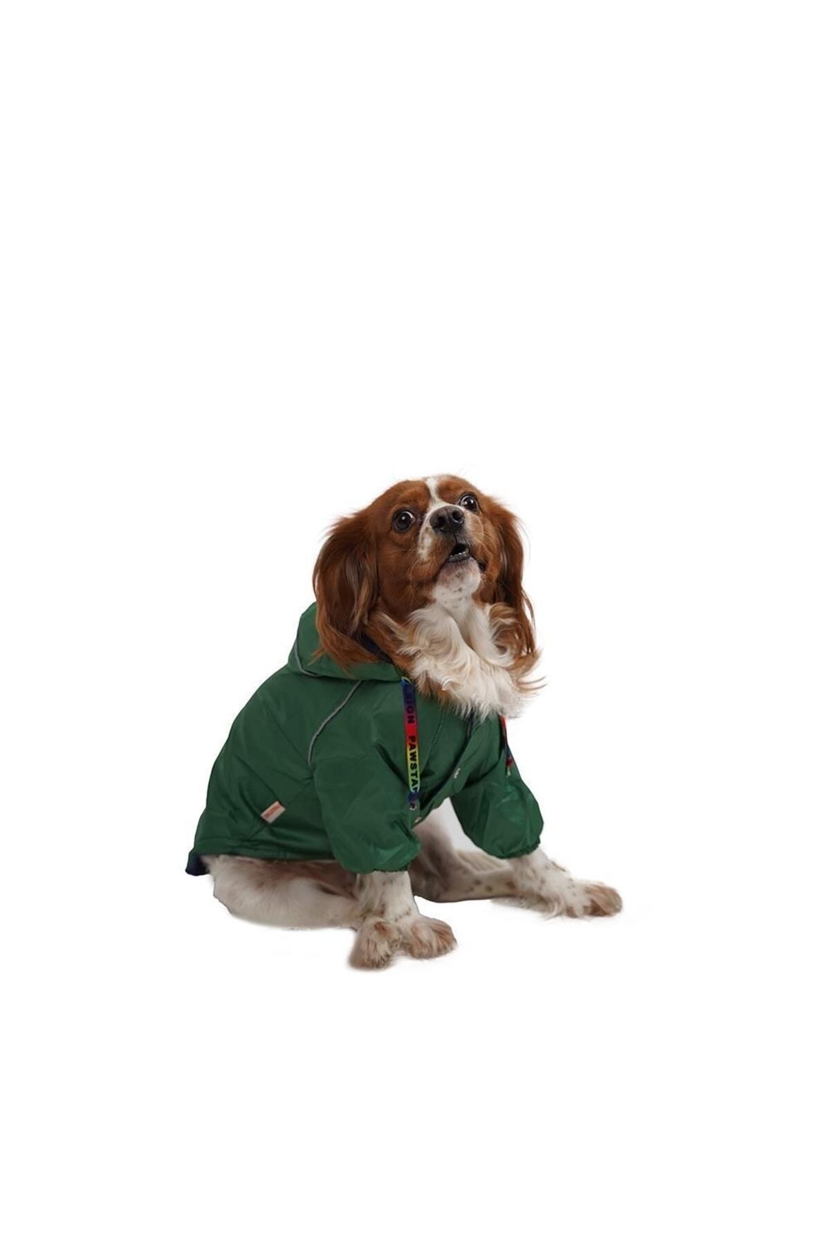Pawstar Dog Clothes Multicolor Trendyol