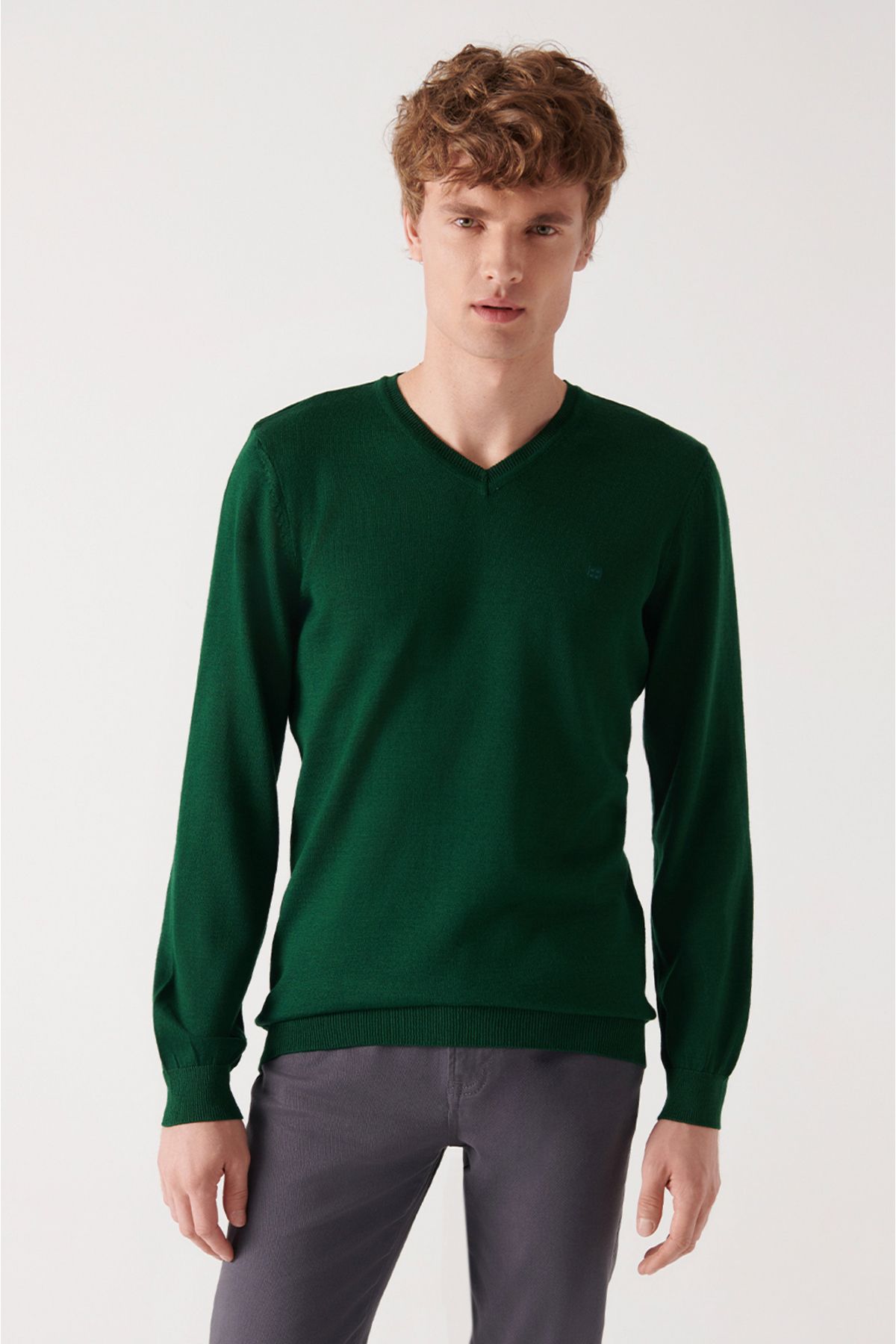 Avva Men s Green V Neck Wool Blend Standard Fit Regular Cut