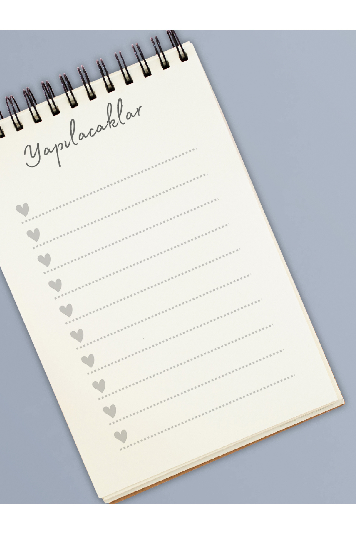 Fobinote Planlama Seti 3'lü, Günlük Planlayıcı, Haftalık Planlayıcı ...