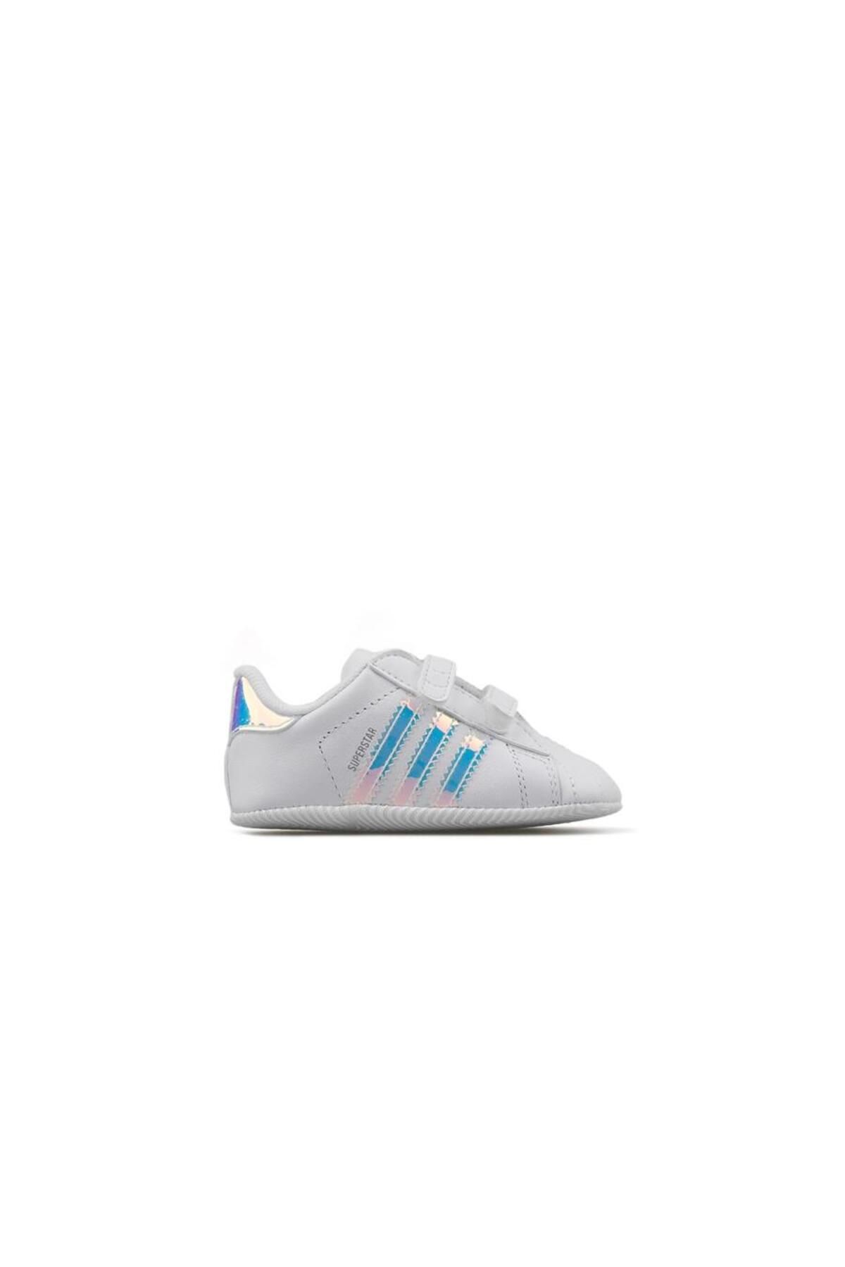Bd8000 sales
