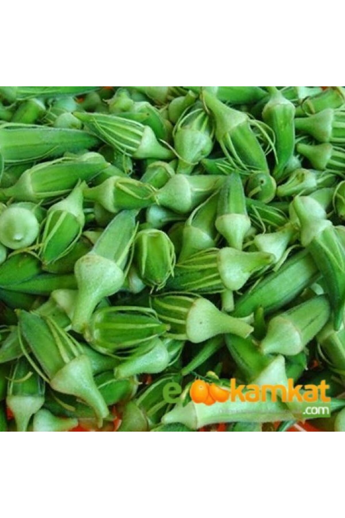 Sultani Çiçek Bamya Tohumu Paket 10 gr Paket
