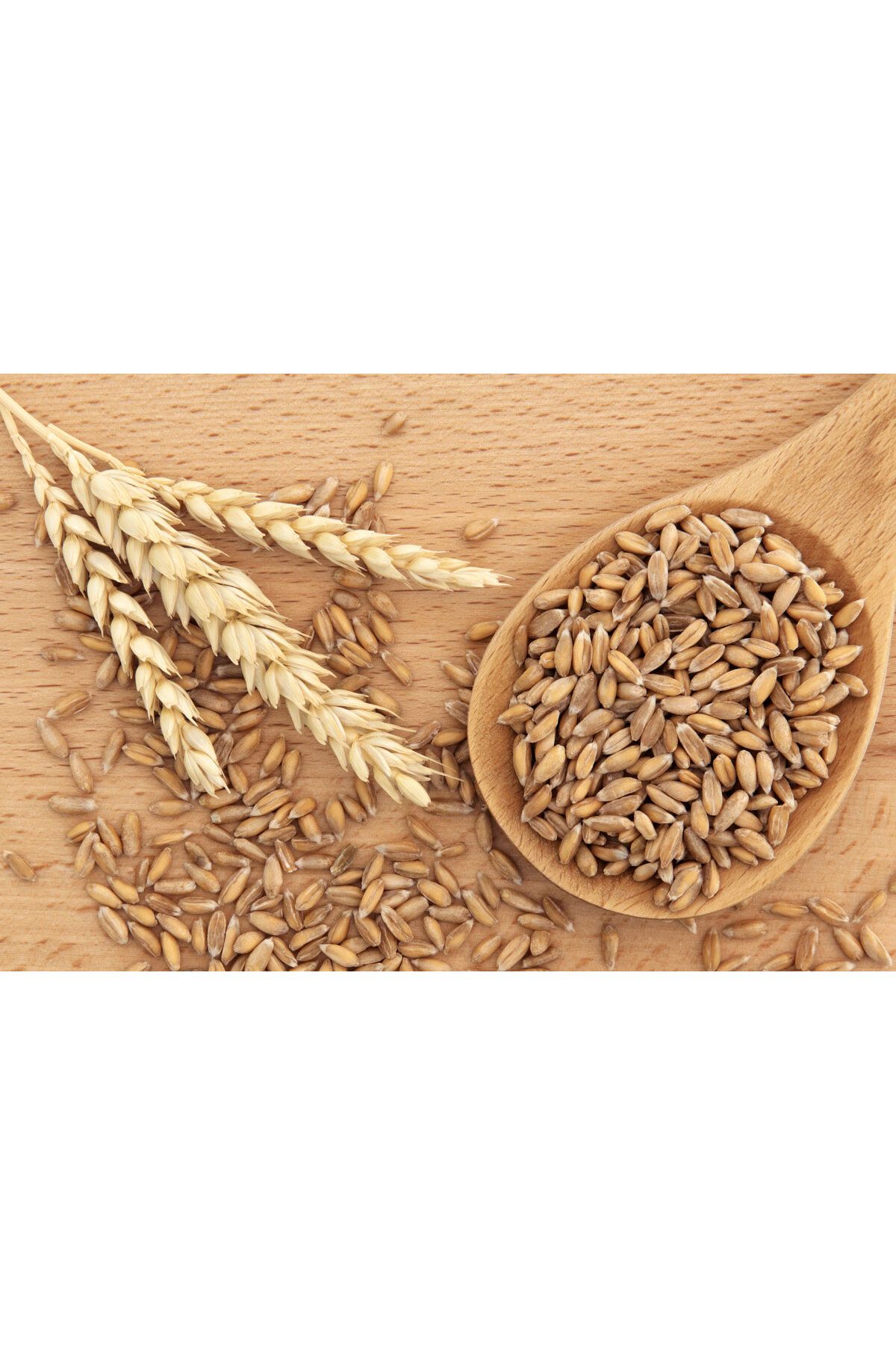 KAPOR ORGANİK DİNKEL TAM BUĞDAY UNU 1 KG