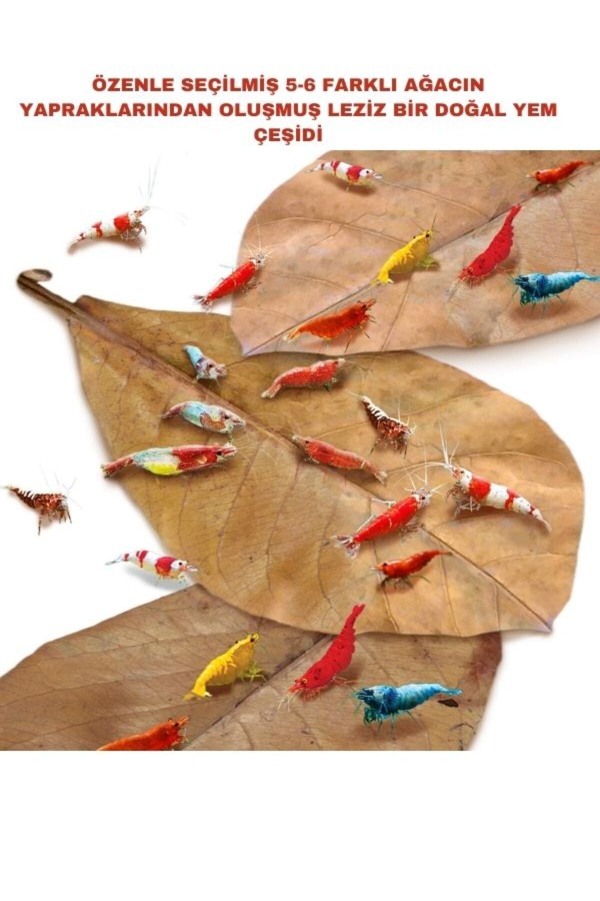 canlipetshop Karışık Yaprak Paketi (Doğal Karides Yemi) Kabuk Gelişimini Hızlandırır Üreme Artar Suyu Düzenler