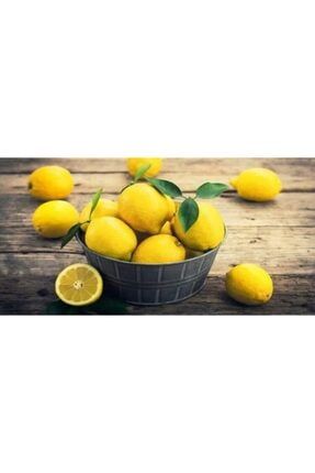 Organik Limon 5 Kg ELKA5622