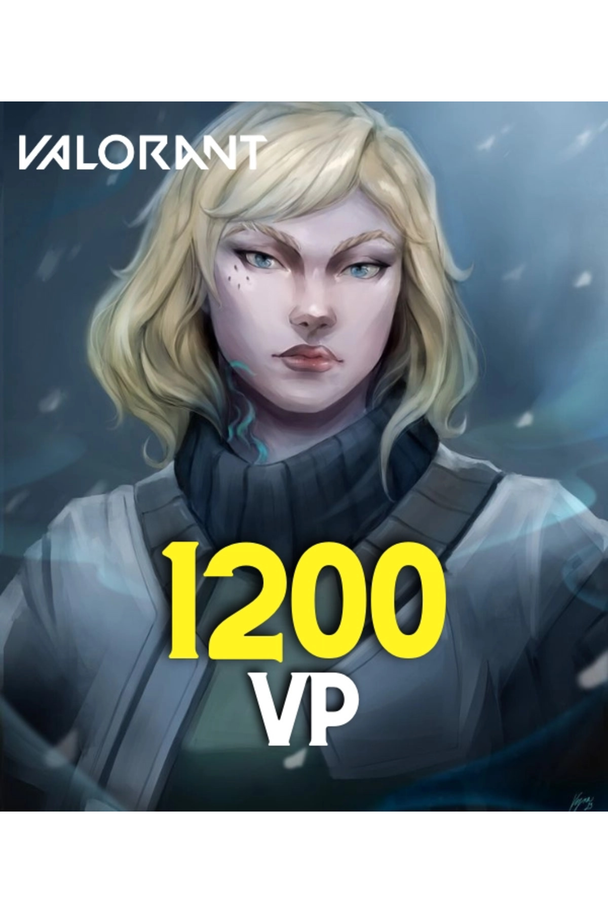 Hasefpin Valorant 1000 Vp Tr