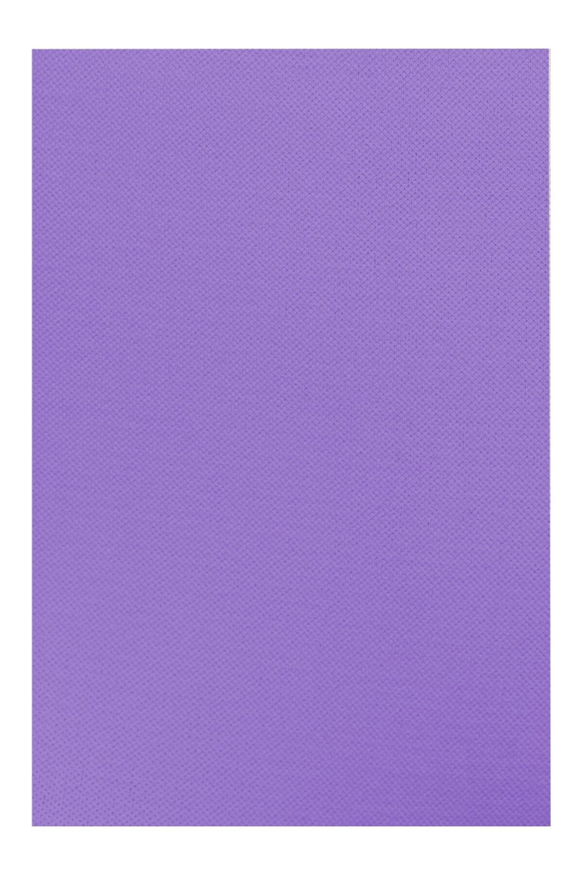 MİSTİRİK-Jerovin Model - Lilac Colored Recovery Knitted Seamless Push Up Short Shorts 4