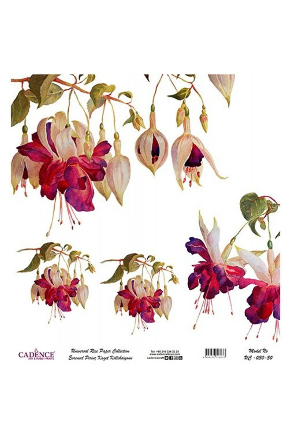 Hayalsanat CADENCEEvrensel Pirinç Dekopaj - UC030 30X32