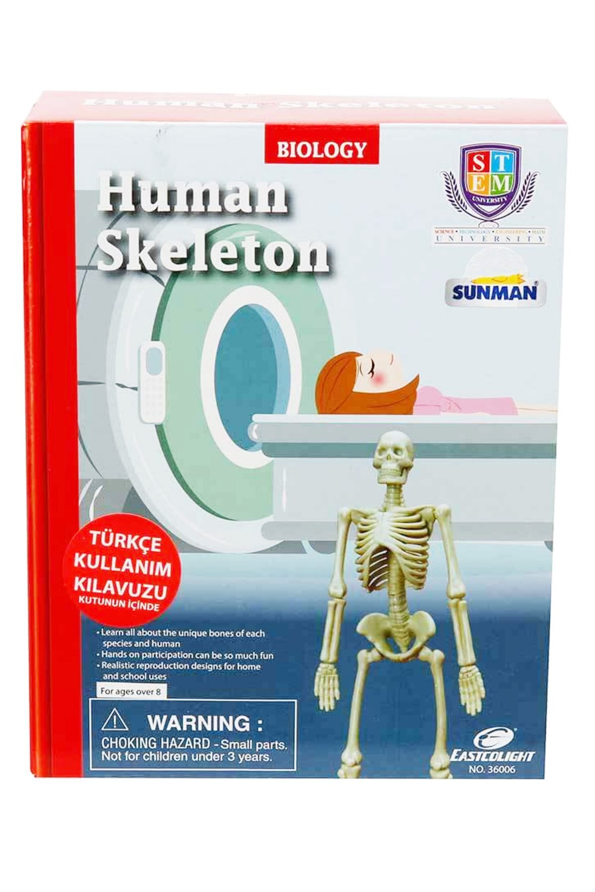 آناتومی انسان؛ یادگیری آسان: مدل اسکلت ۱۸ قطعه‌ای