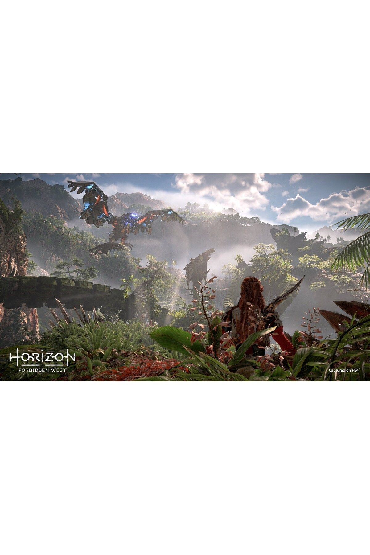 Sony Ps4 Horizon Forbidden West t rk e Altyaz