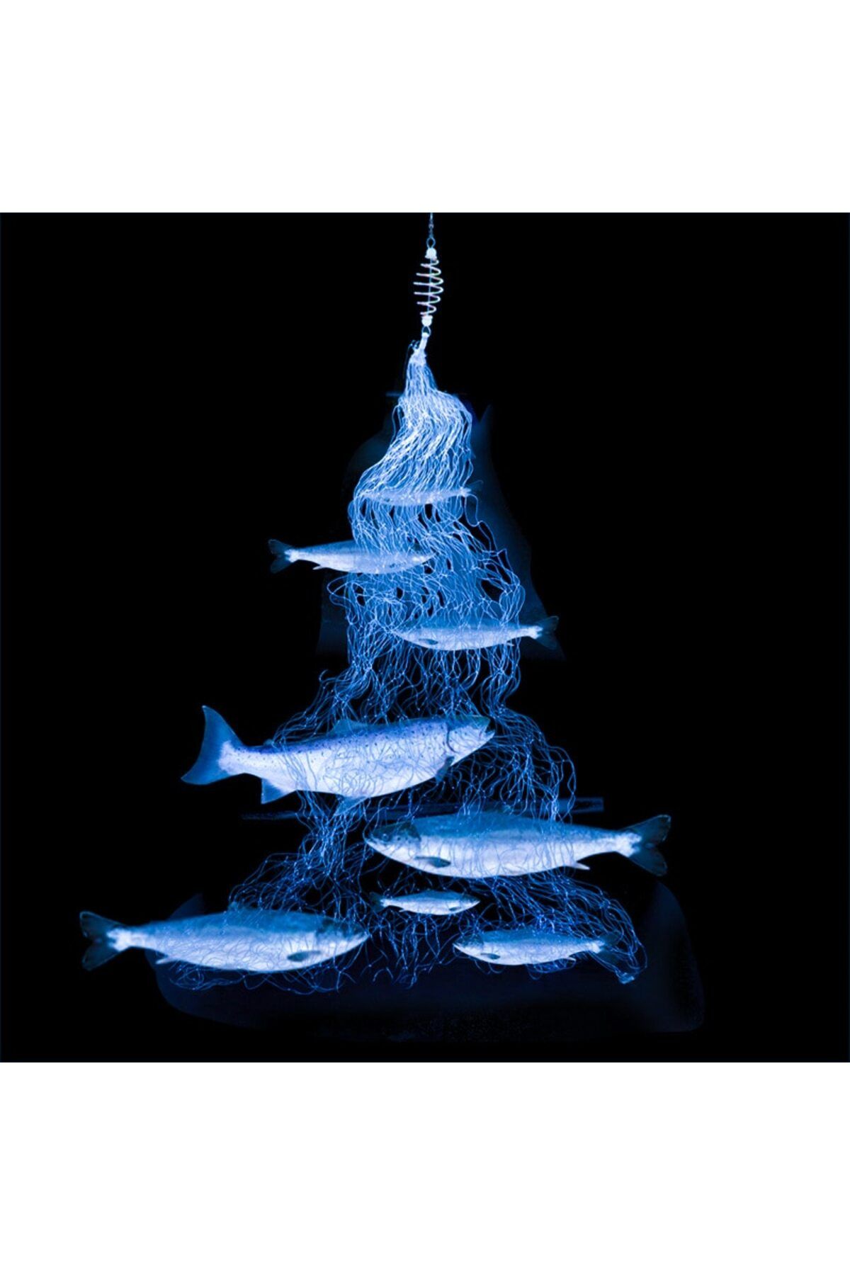 Choice-Multi Size Fishing Trap Net With Luminous Bead Netting 3 5 6 12 Sea Fish Mesh Tackle Copper Shoal... 5