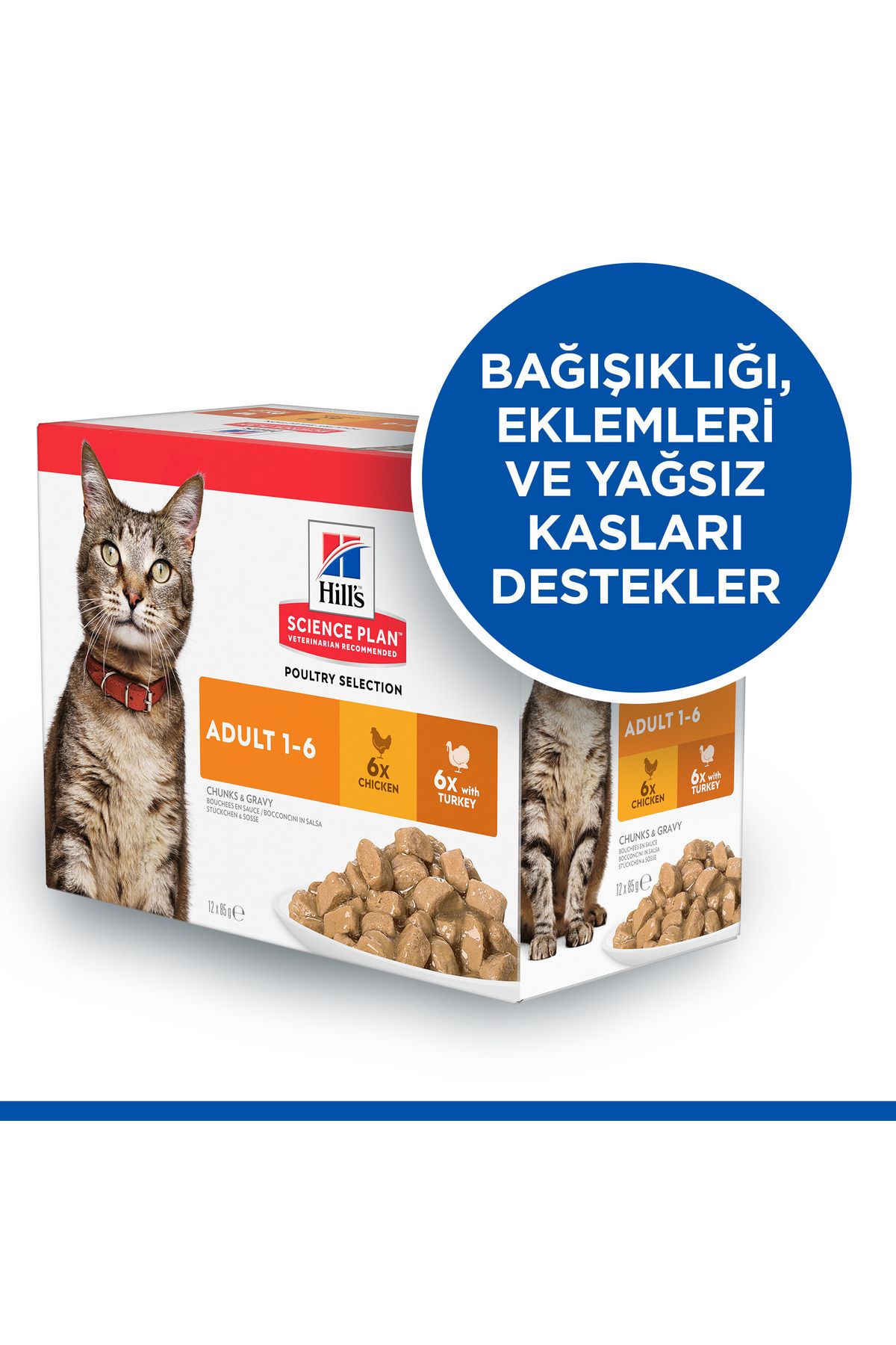 Hill's-Science Plan Hindili Yetişkin Kedi Pouch 12x85g 6