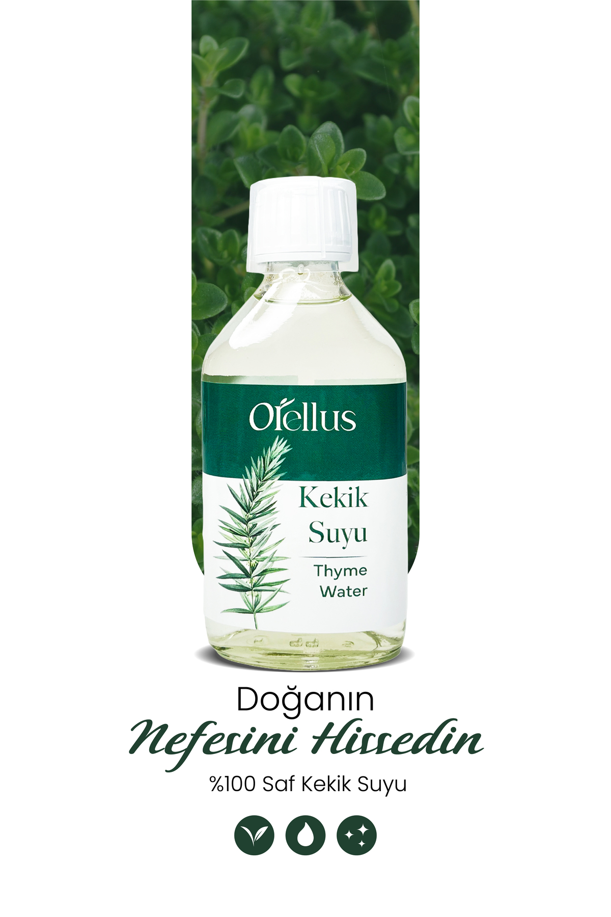 Orellus Kekik Suyu %100 Ferahlatıcı, Doğal ve Organik Ağız Bakımı Tonik 150 ml