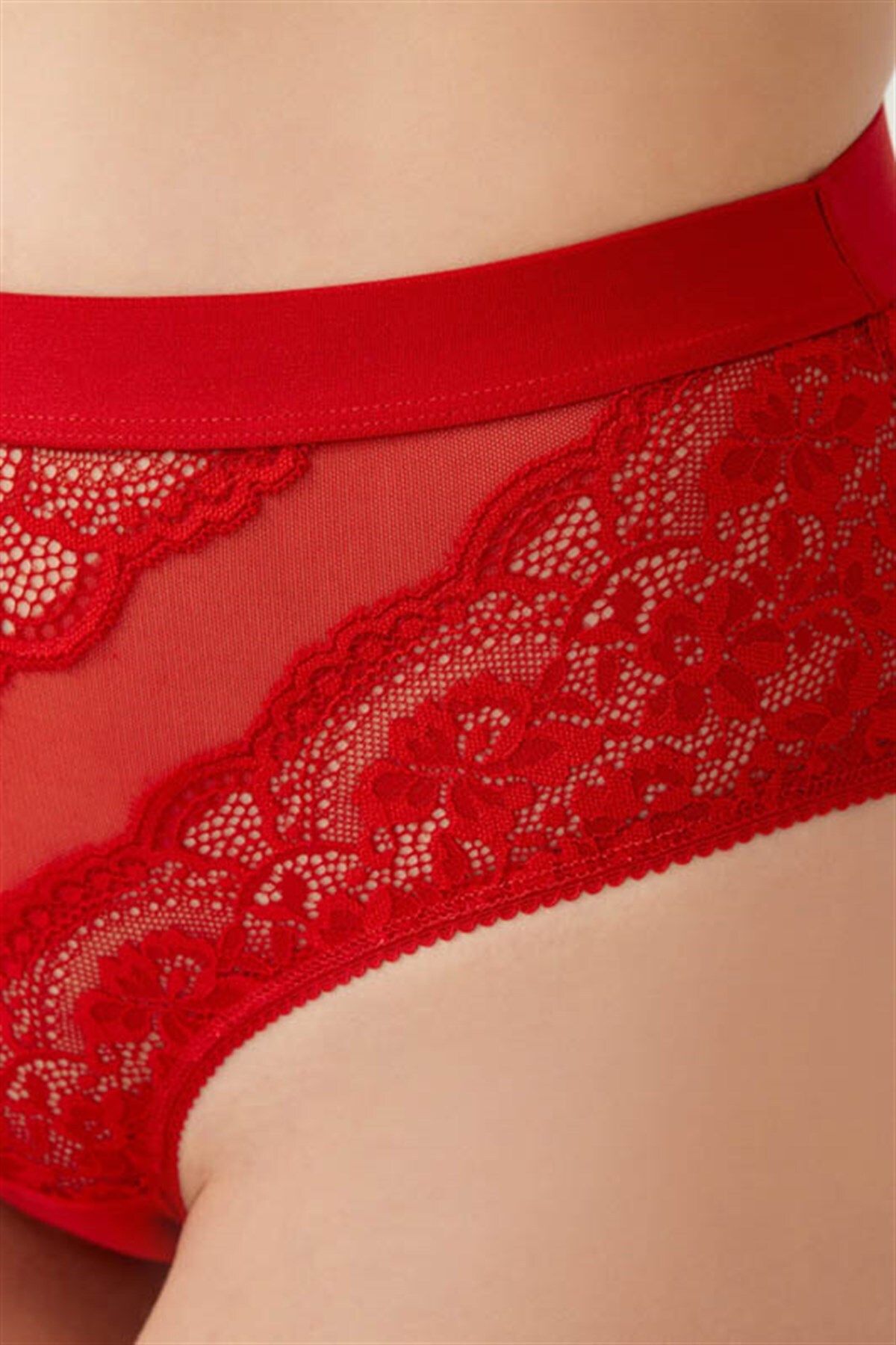 Cottonhill-Red Lace Transparent Back Plus Size Bikini Panties 4