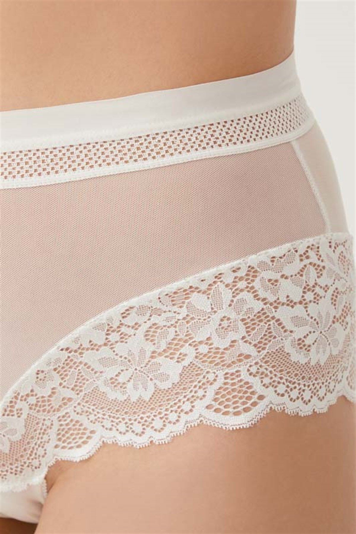 Lace Big Size Women Bikini Panty with Transparent Back CH6053 - Cottonhill  - Wholesale B2B - The SHOwP