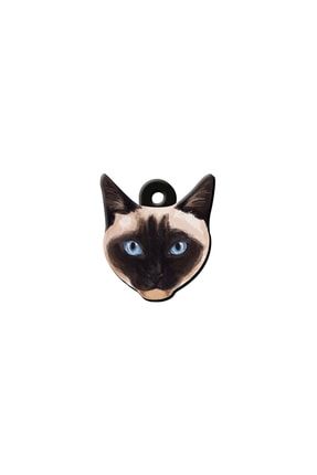Dalis Ankara Kedisi Kedi Kunyesi Trendyol