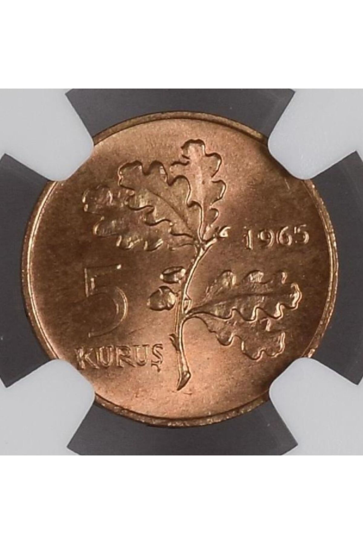 ngc sertifika eski madeni para
