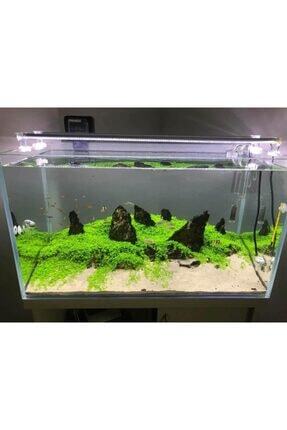 spectra 35 cm 4 renk full spectrum bitkili akvaryum led aydinlatma fiyati yorumlari trendyol