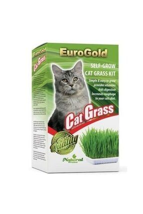 Eurogold Kedi Cimi Trendyol