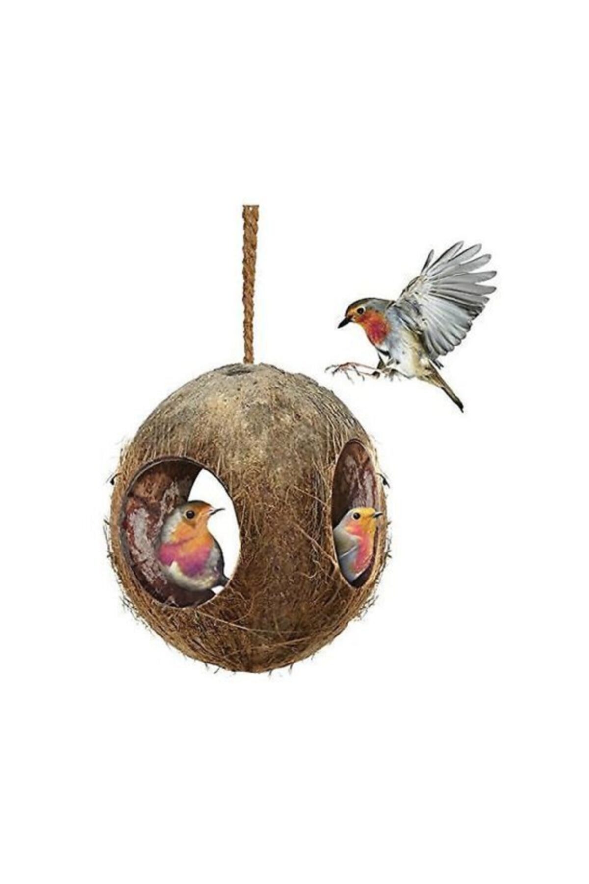 Ahşap Pusula Doğa Ve Kafes Kuşları Için Doğal Coconut Kuş Yuvası